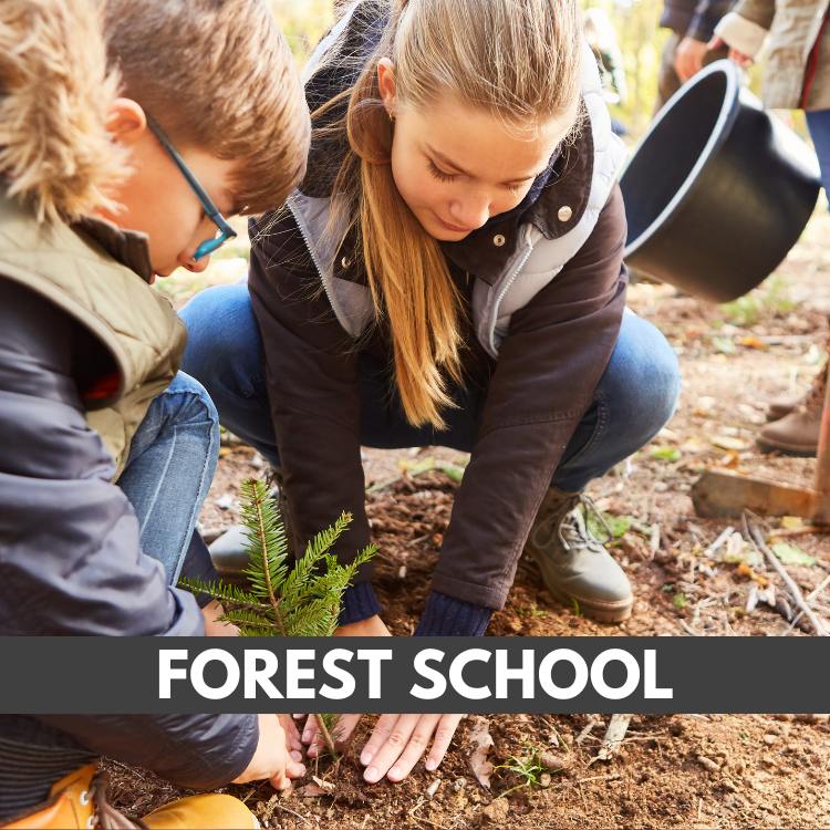 Forest School