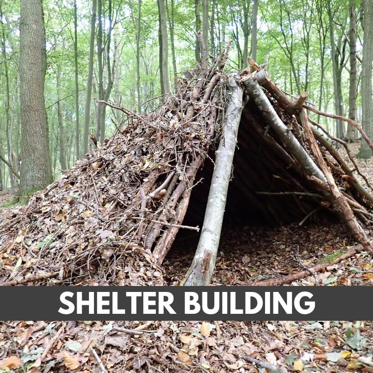 Shelter Building